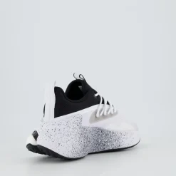 AlphaBoost V2