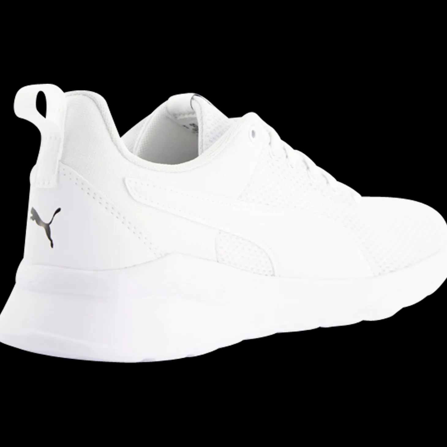 Anzarun Lite
