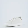 Cannon Knit 3 W