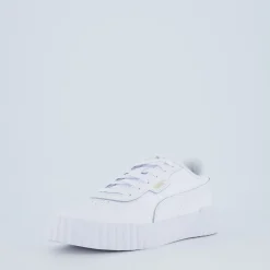Carina 3.0