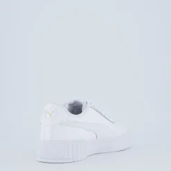 Carina 3.0