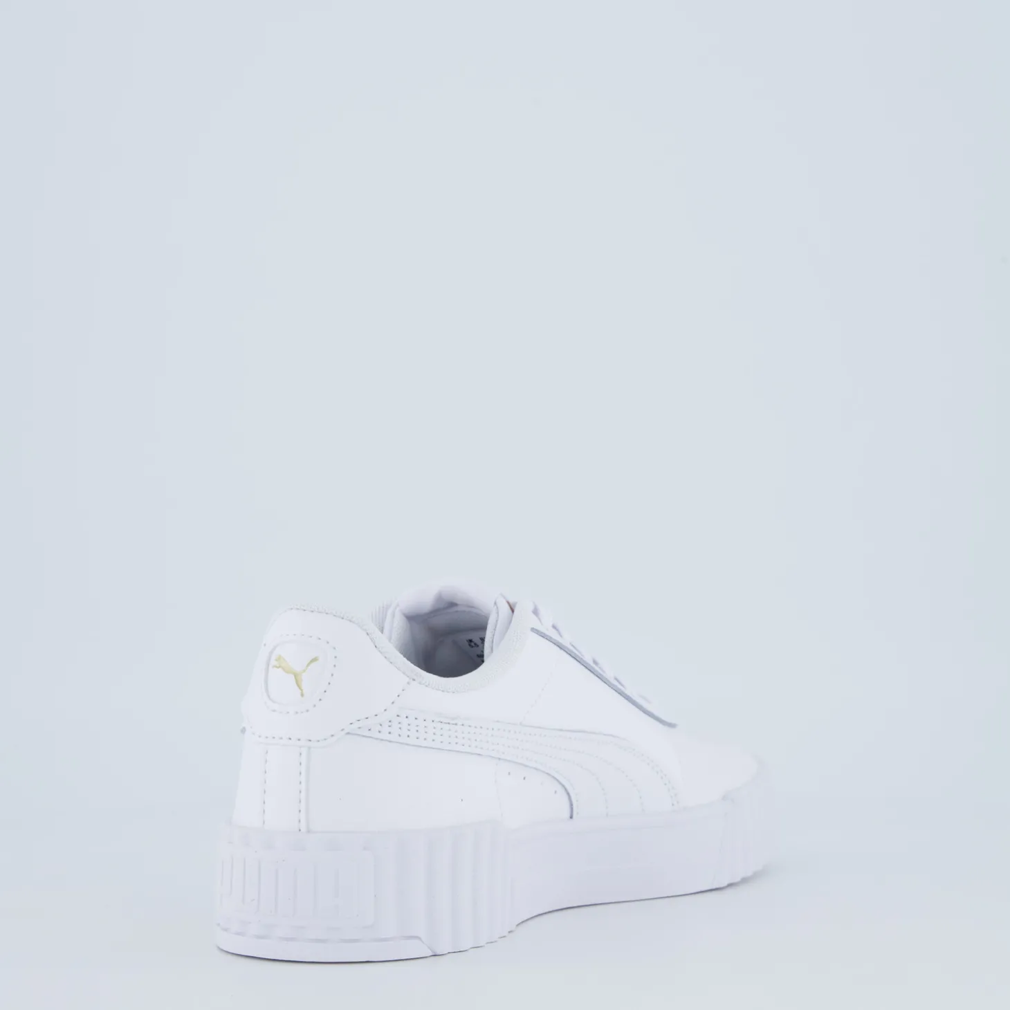 Carina 3.0