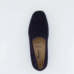 Cortizia-705-H