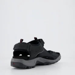 ECCO ANDES II M SANDAL