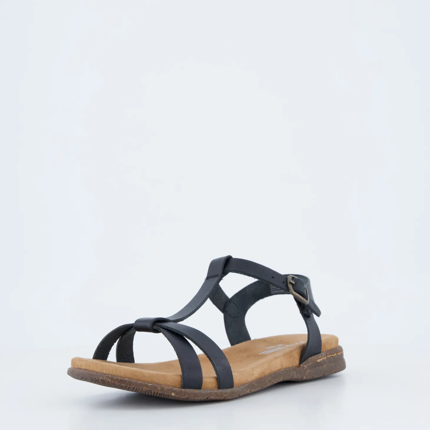 Fabricia 01
