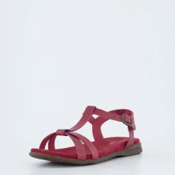 Fabricia 01