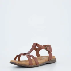 Fabricia 01