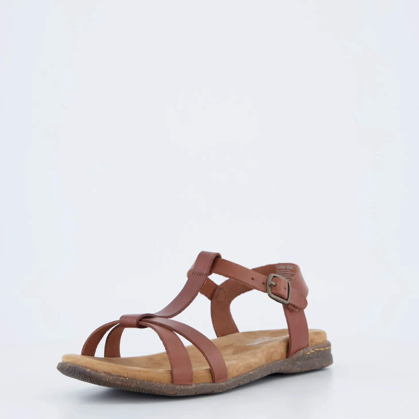 Fabricia 01
