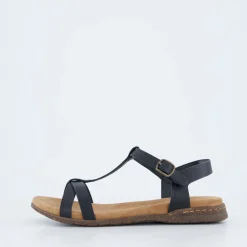 Fabricia 01