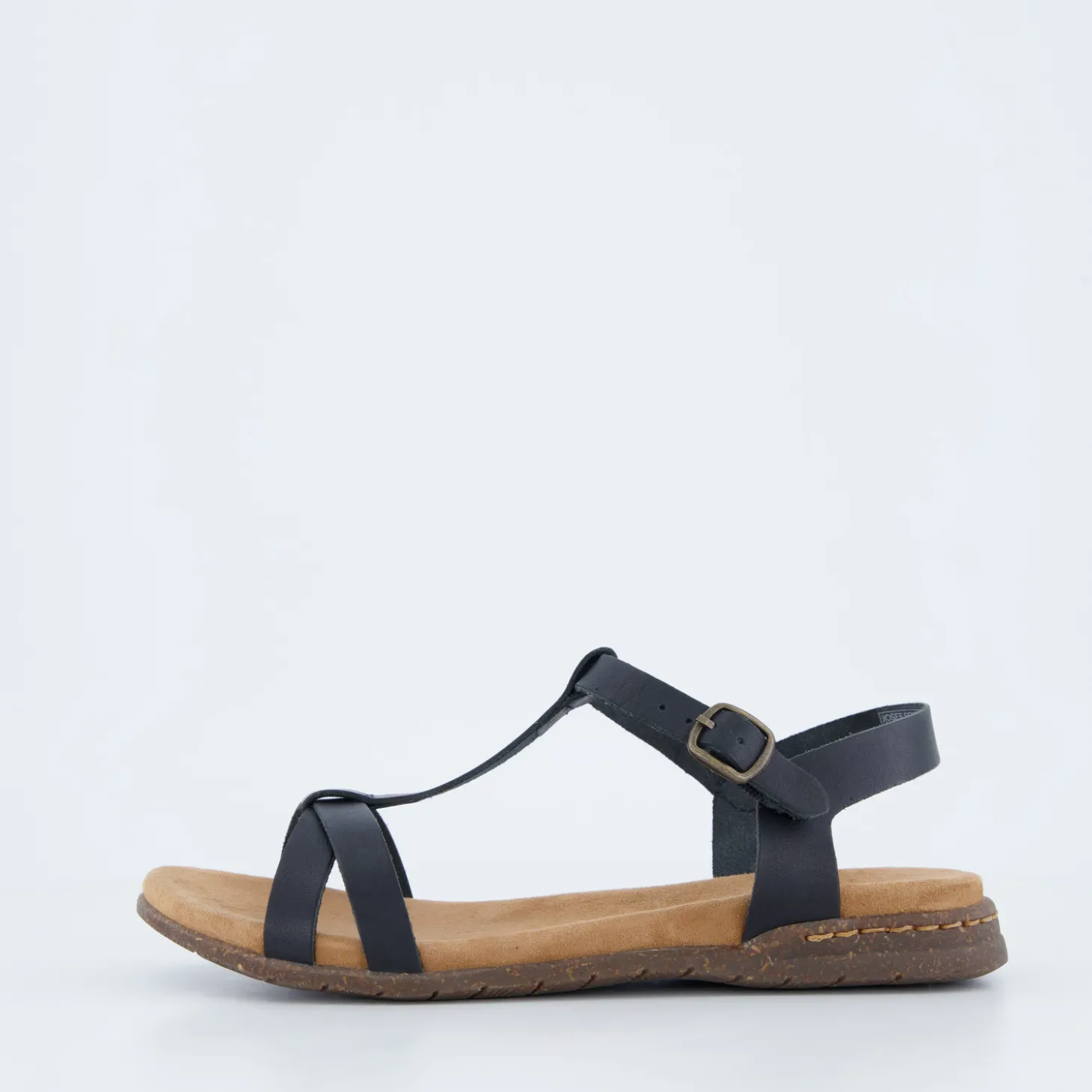 Fabricia 01