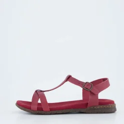 Fabricia 01