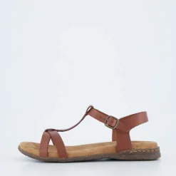 Fabricia 01