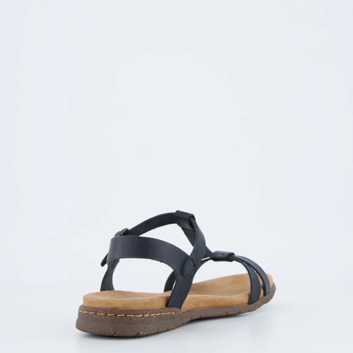Fabricia 01