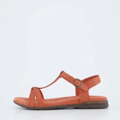 Fabricia 01