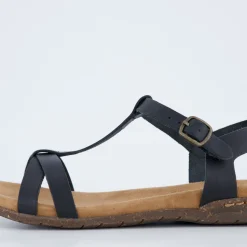 Fabricia 01