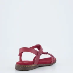 Fabricia 01