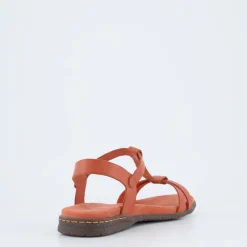 Fabricia 01