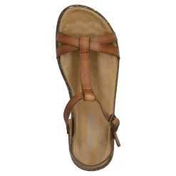 Fabricia 01