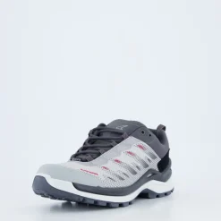 FERROX GTX LO WS