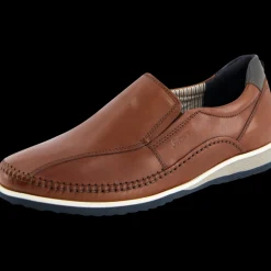 Hajoko