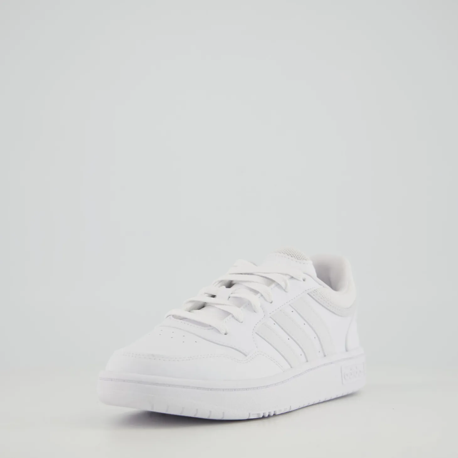 HOOPS 3.0