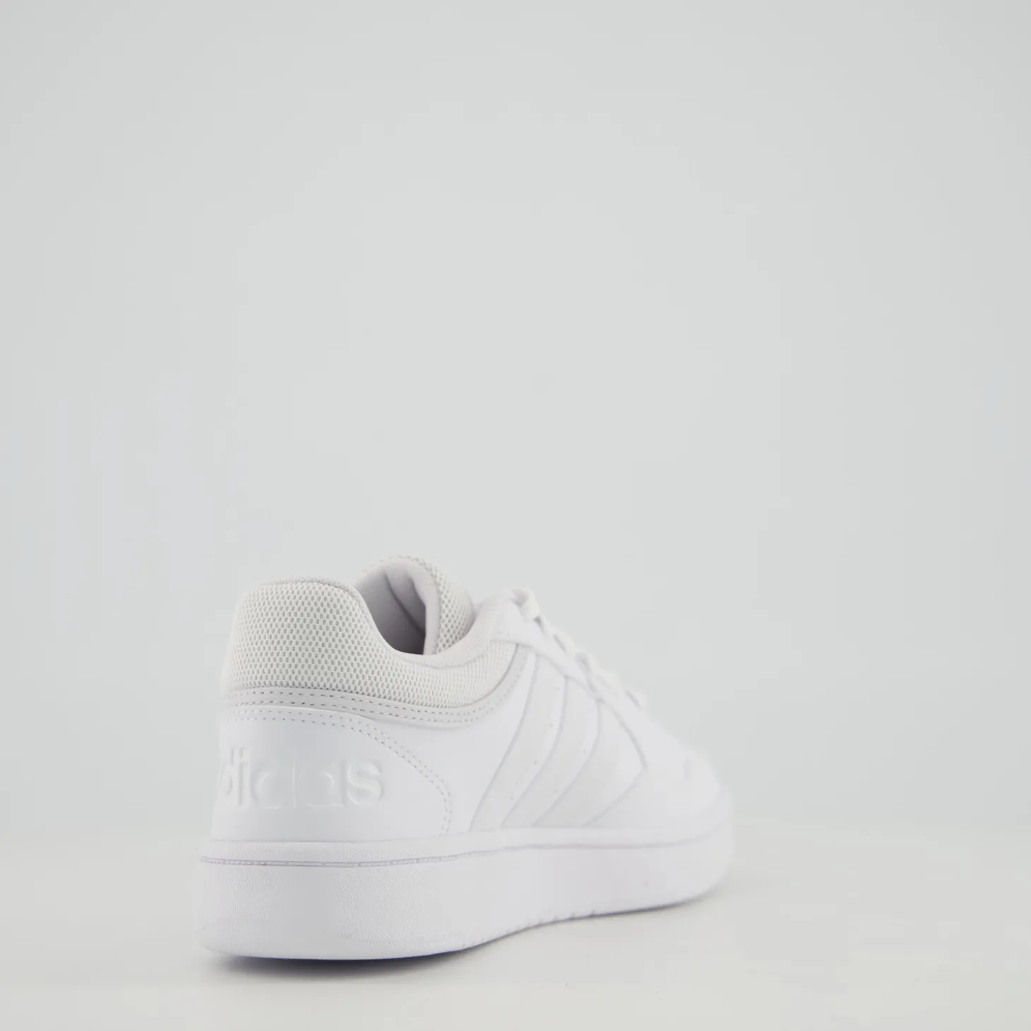 HOOPS 3.0
