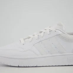 HOOPS 3.0