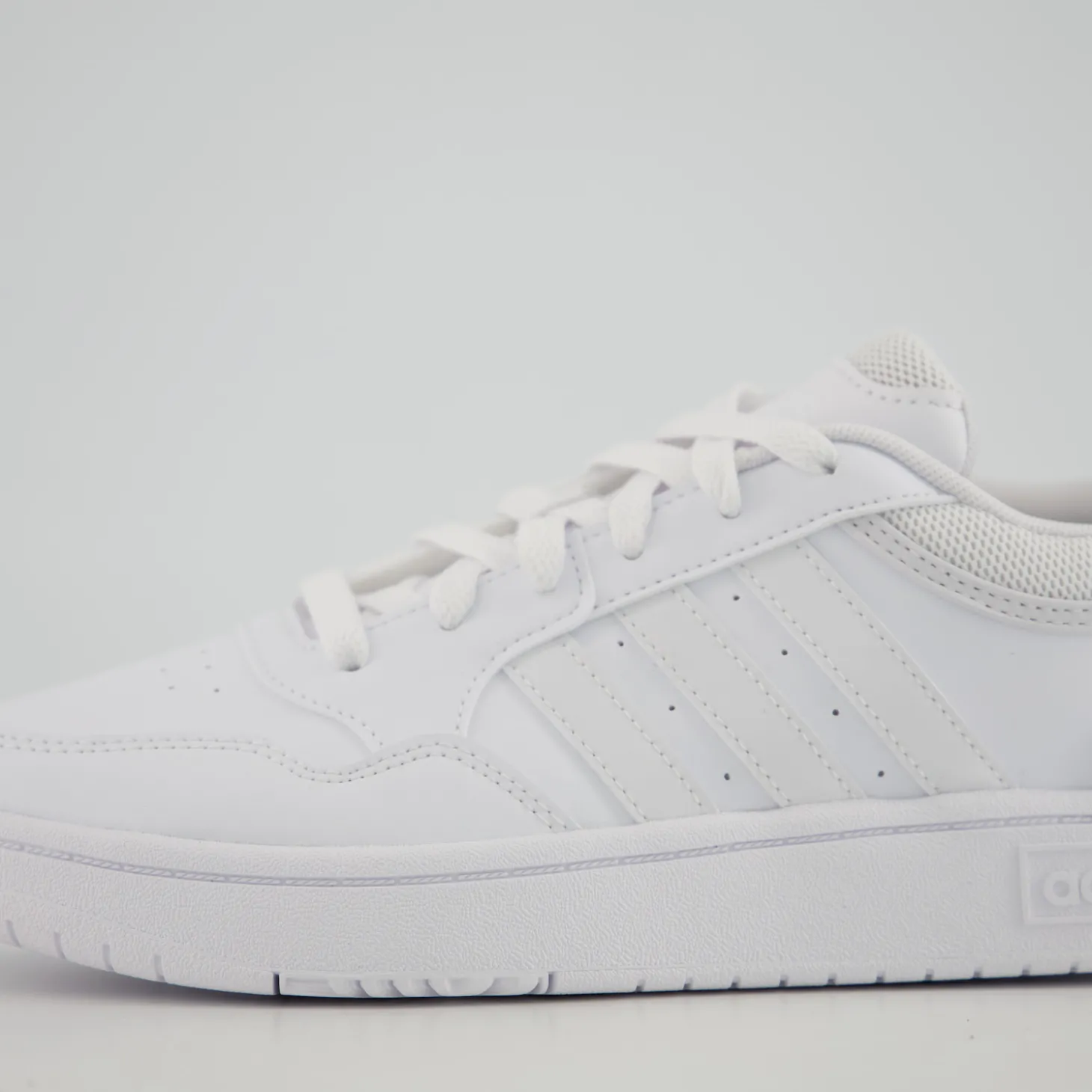 HOOPS 3.0
