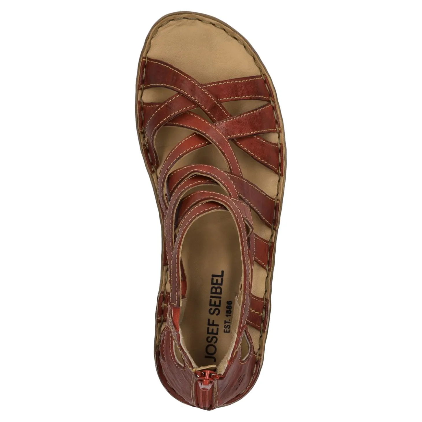 Ivy 06
