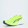 Pounce Lite