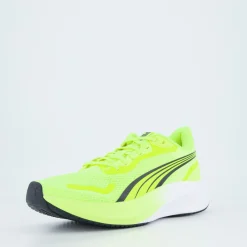 Pounce Lite