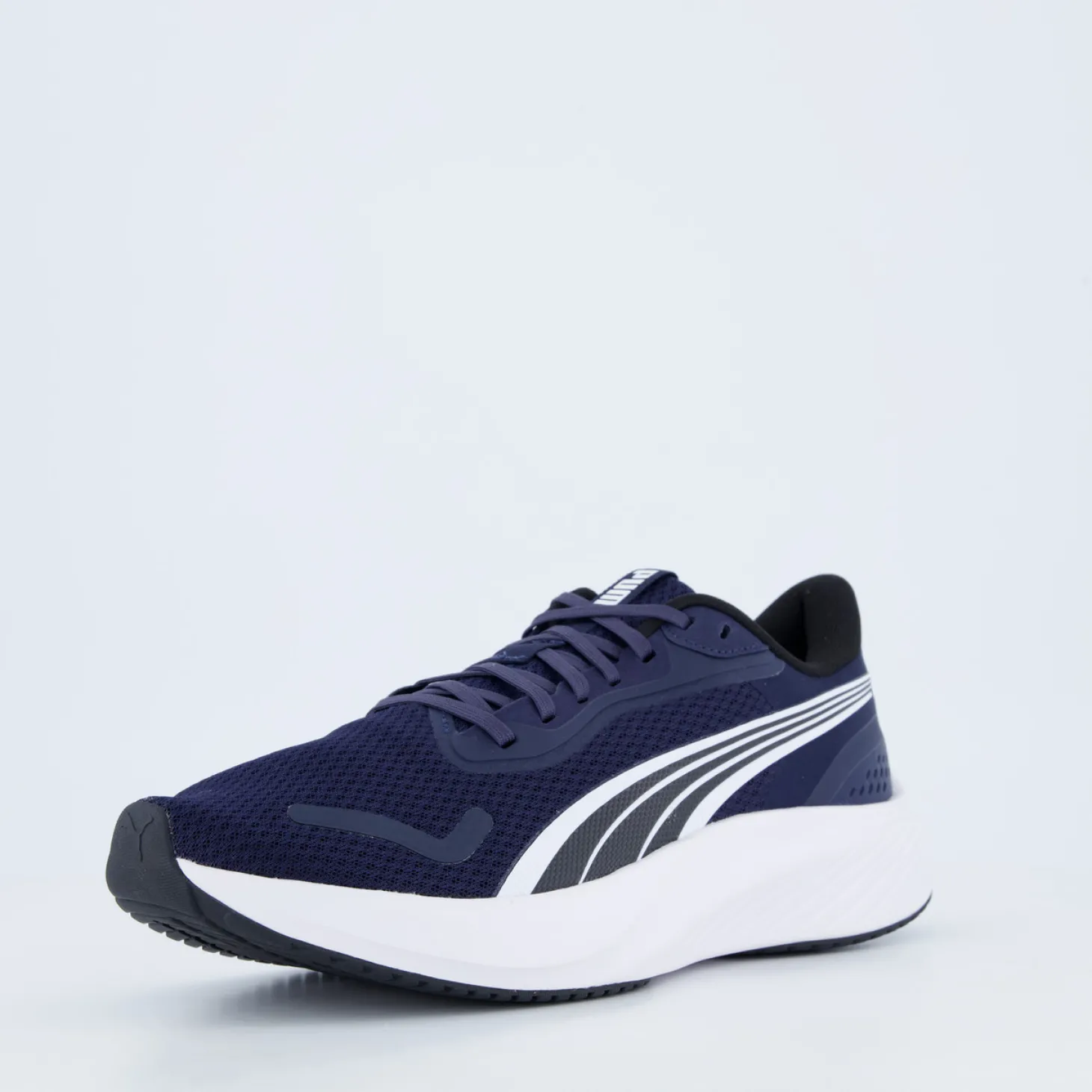 Pounce Lite