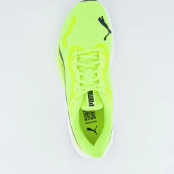 Pounce Lite
