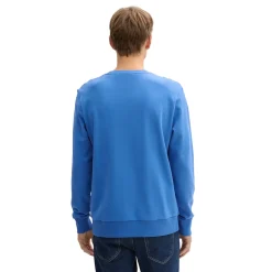 Printed crewneck sweatshirt