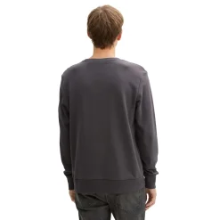 Printed crewneck sweatshirt