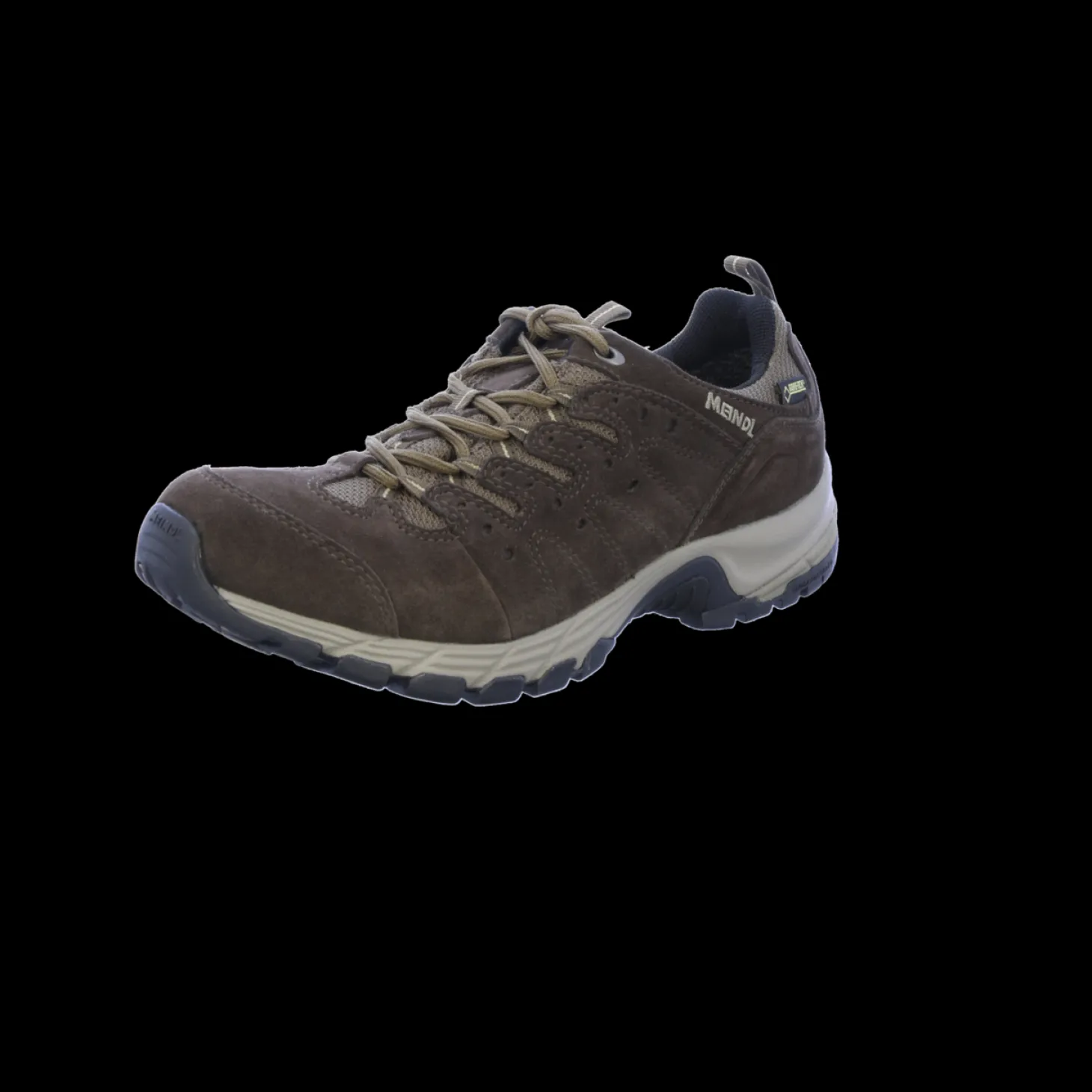 Rapide GTX