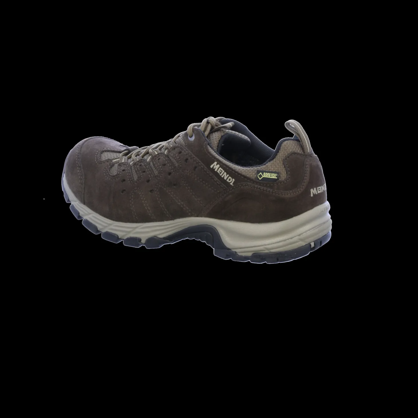 Rapide GTX