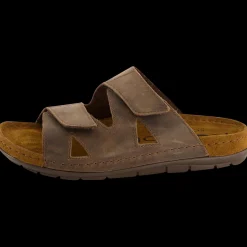 Rodigo-H
