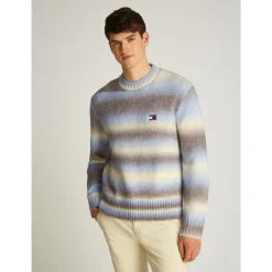 TJM REG OMBRE CNECK SWEATER