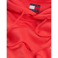 TJM REG S FLAG HOODIE EXT