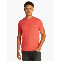 TJM XSLIM JASPE HTR TEE EXT