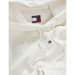 TJW REG TONAL LINEAR HOODIE EX