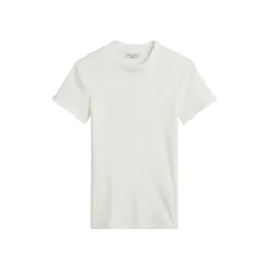 T-shirt, SSL, Crewneck, Modal