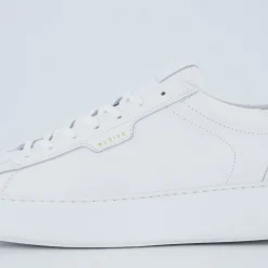 Vince Tora (M)